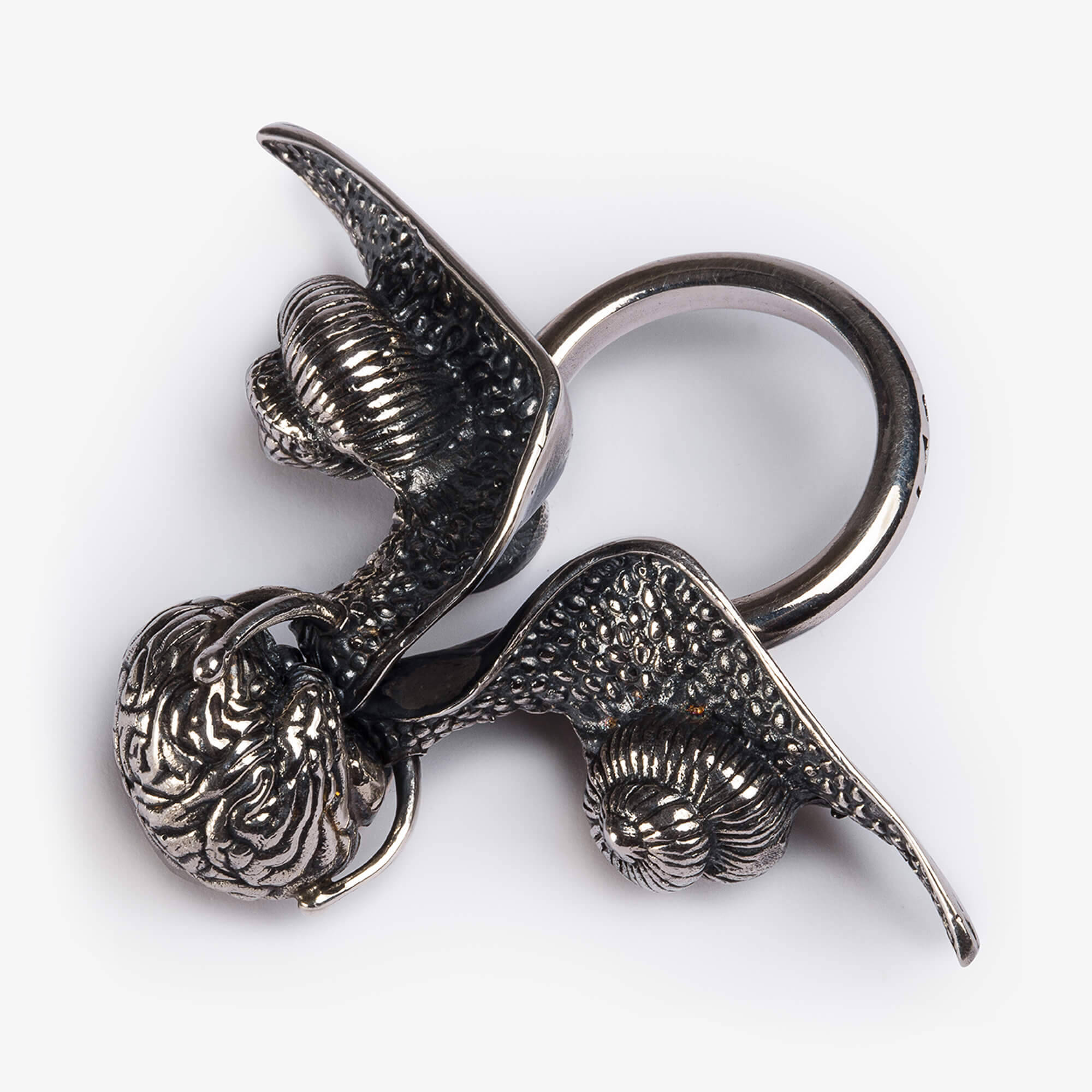 anello-lentamente-03