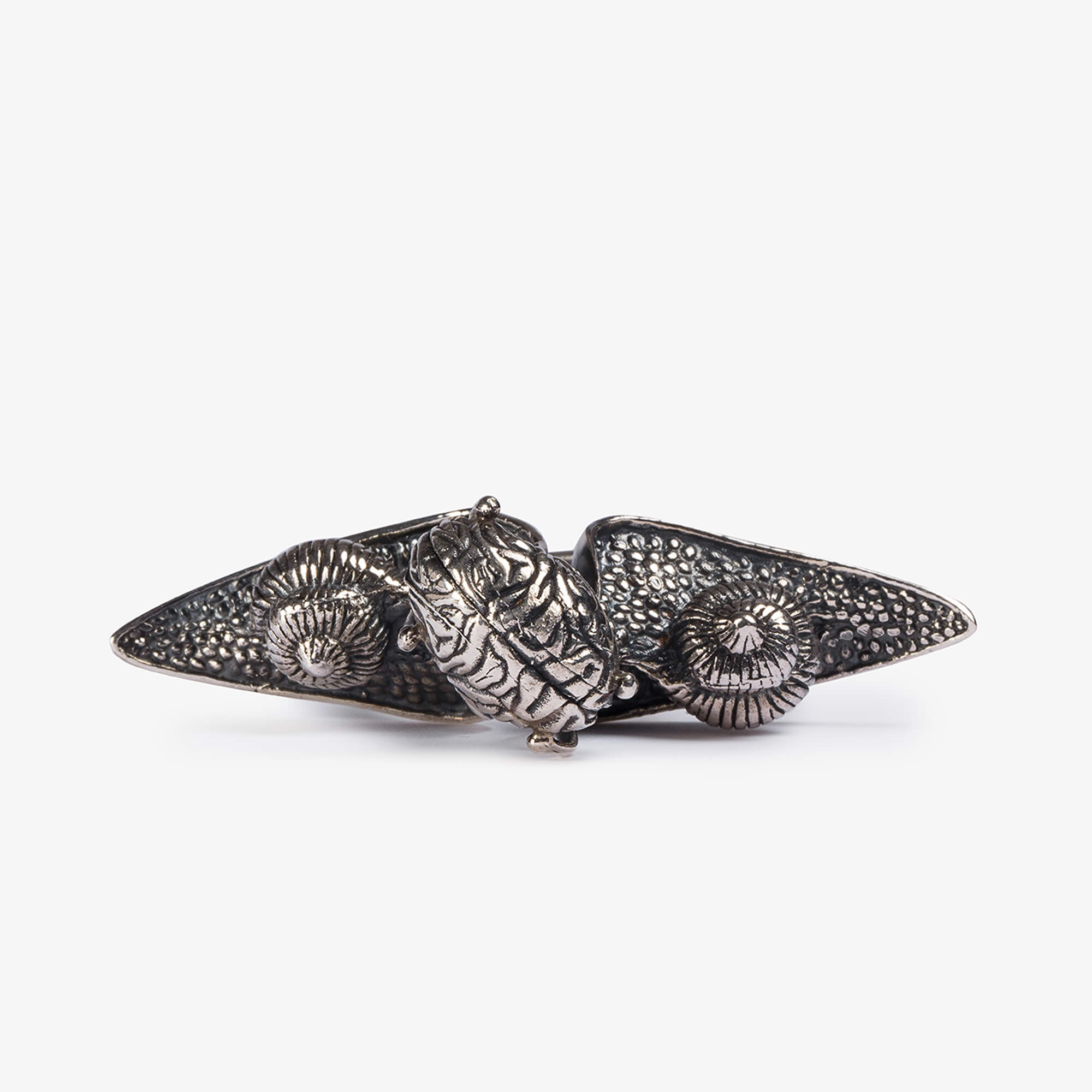 anello-lentamente-04