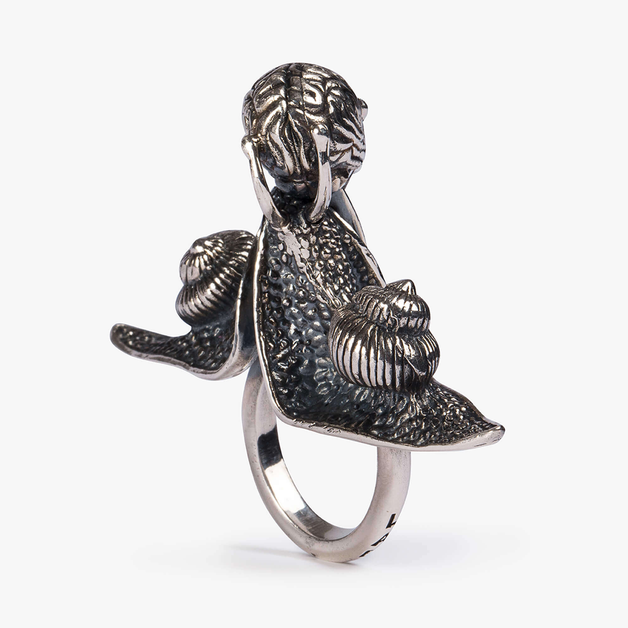 anello-lentamente-05